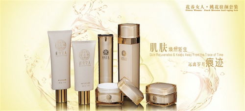 大真堂化妝品線上化之路 產(chǎn)品展示與店鋪裝修的計算機網(wǎng)絡(luò)技術(shù)開發(fā)